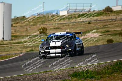 media/Feb-25-2024-Speed Ventures (Sun) [[b9a2a97a4d]]/Mustang Drivers Club/Session 2 (Turn 6)/